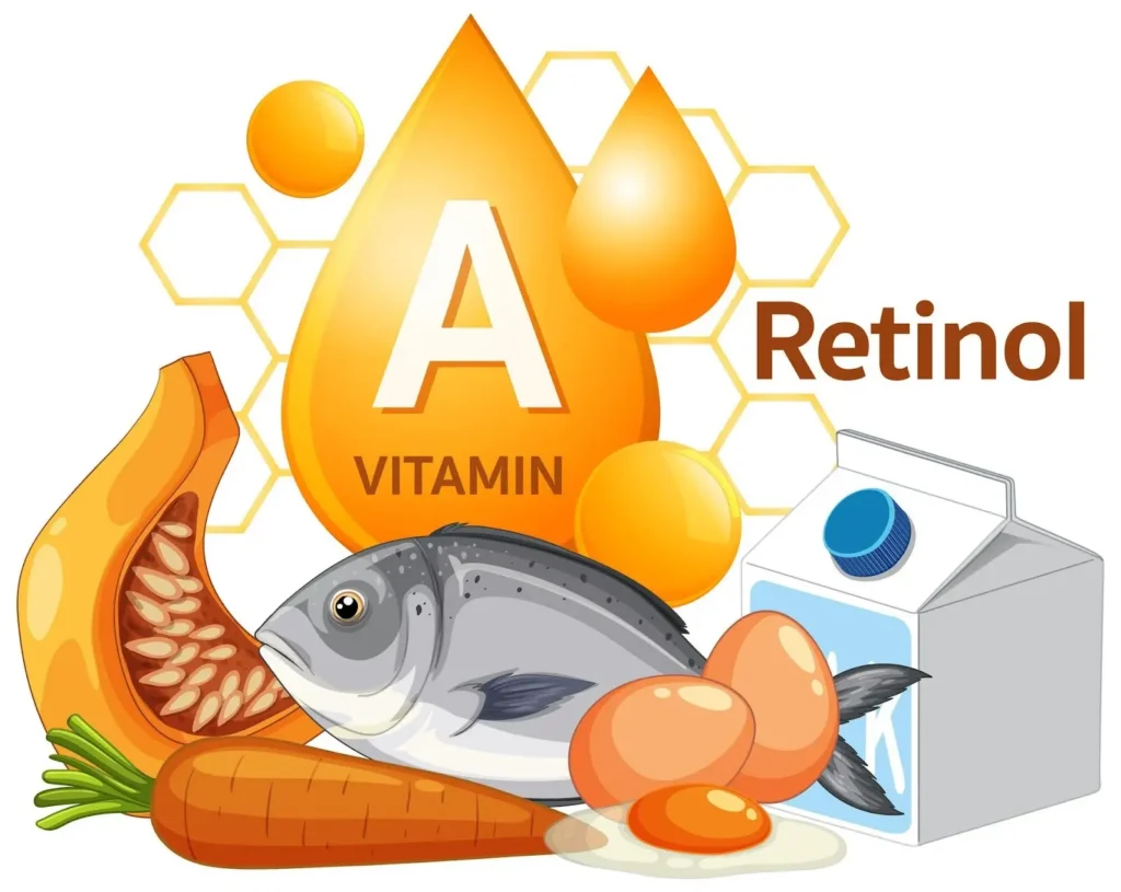 Vitamin A Properties and Sources – A Complete Guide