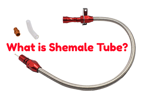 shemale tube